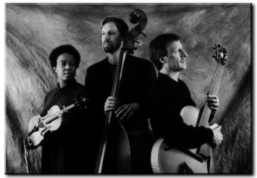 S3NY classic trio portrait with instruments